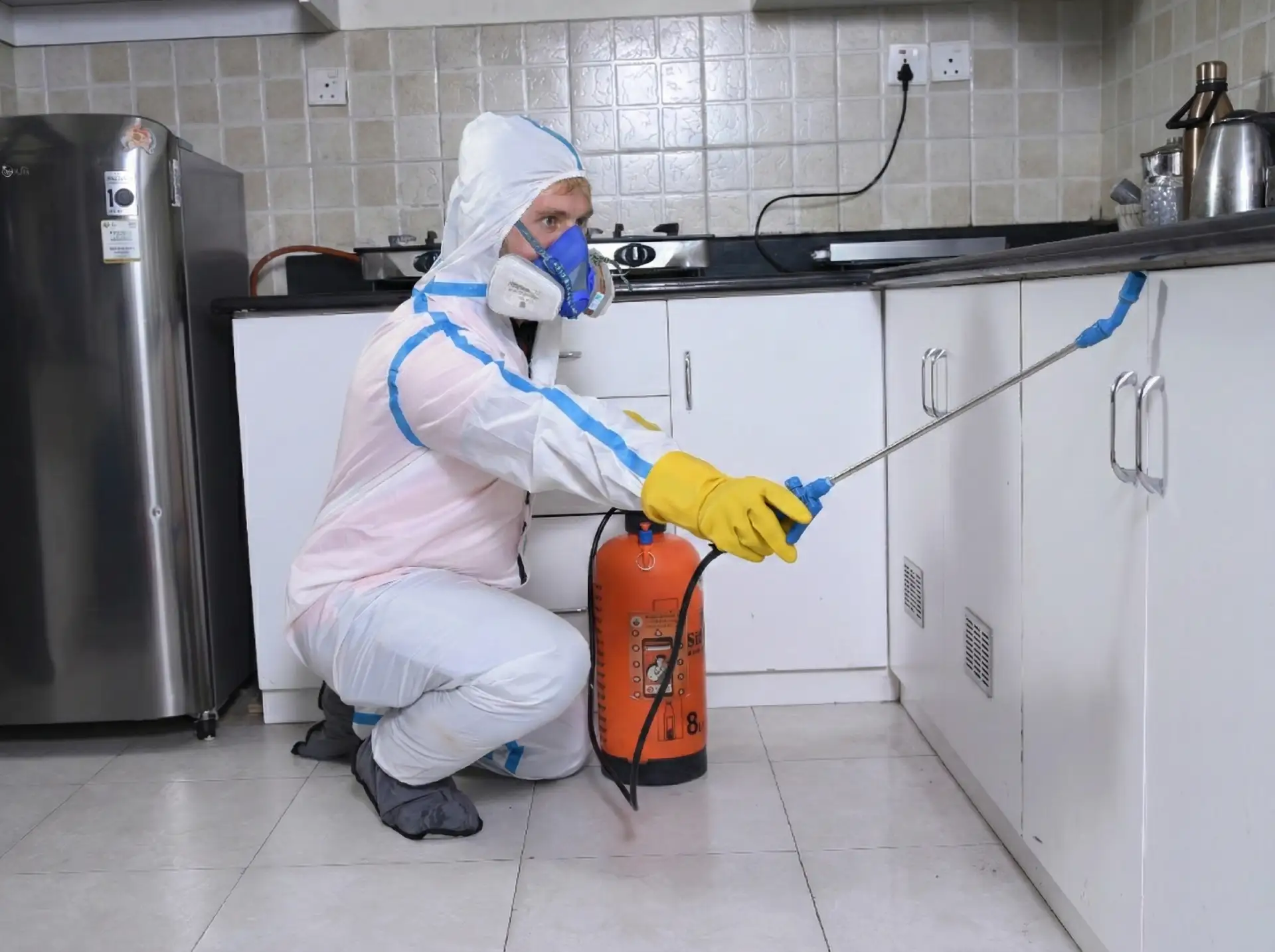 Средства и методы дератизации для предприятий общепита