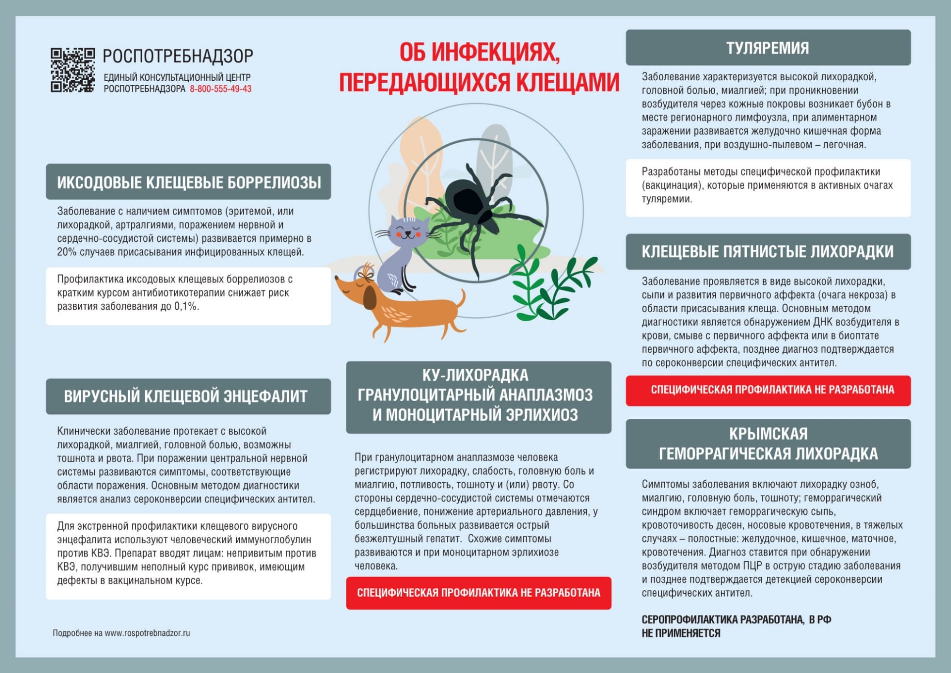 На этом фото описано какие болезни передаются клещами