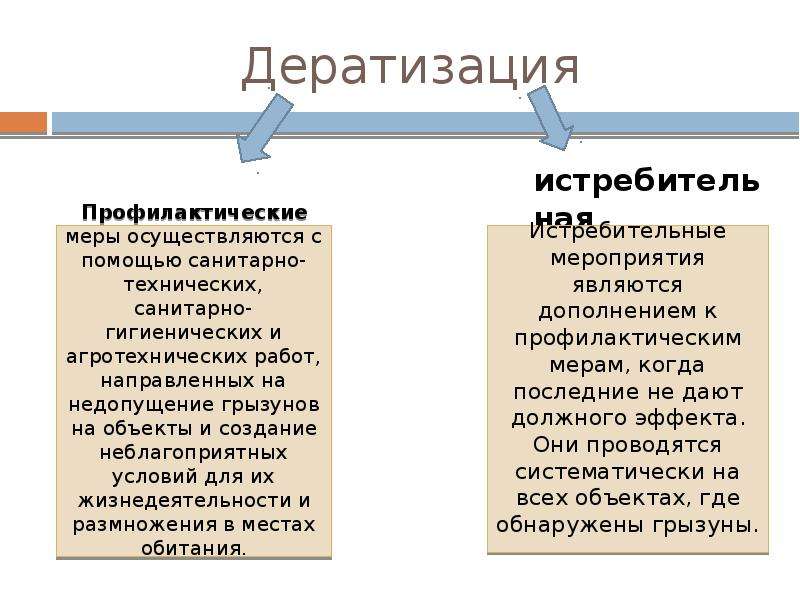 На этом фото показано какая может быть дератизация