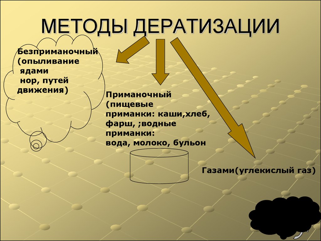 На фото описаны методы дератизации