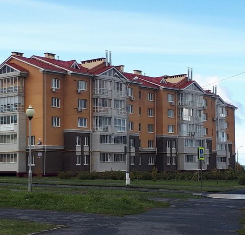 Избавиться от грызунов в Екатеринбурге
