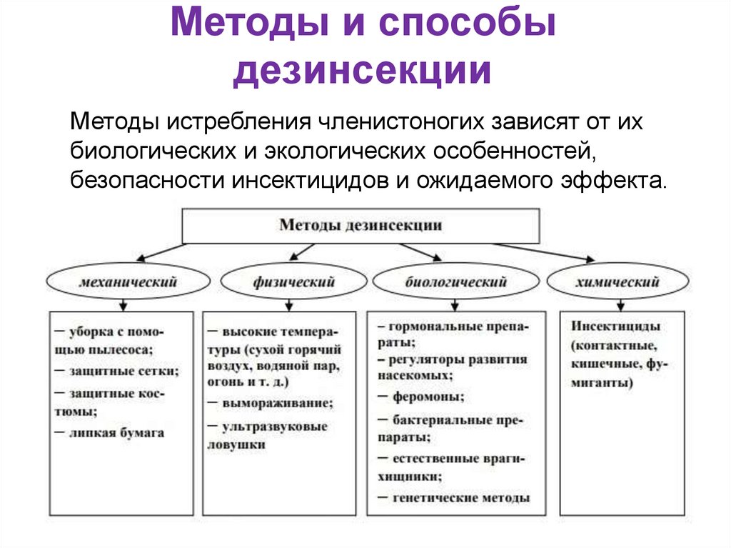 На этом фото изображены методы и способы дезинсекции