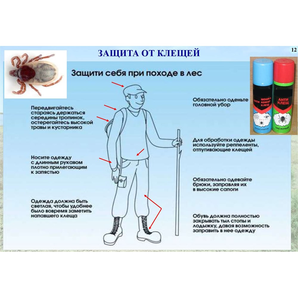 Эффективные средства защиты. Защита от клещей. Защити себя от клещей. Способы защиты от укусов клещей. Обработка одежды от клещей.