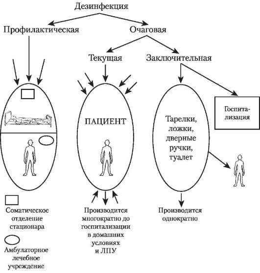 Виды санобработки схема