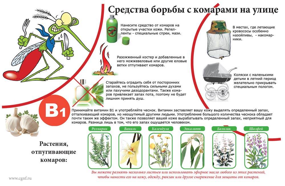 На этом фото описаны средства борьбы с комарами на улице