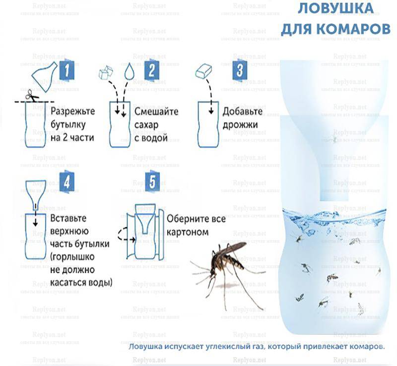 На этом фото изображена ловушка для комаров