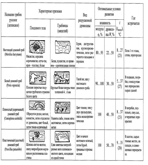 На этом фото изображена таблица грибов  и их описание